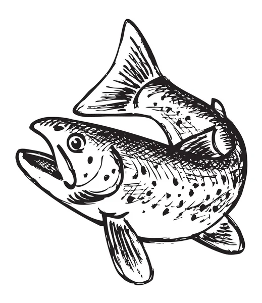 Esboço dos peixes de truta — Vetor de Stock