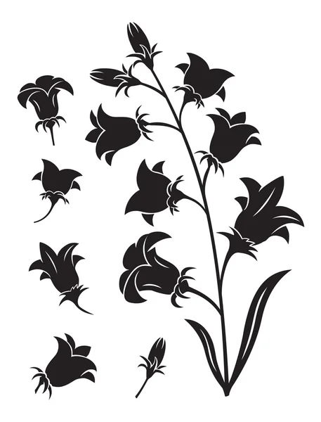 Klokken bloem silhouet — Stockvector