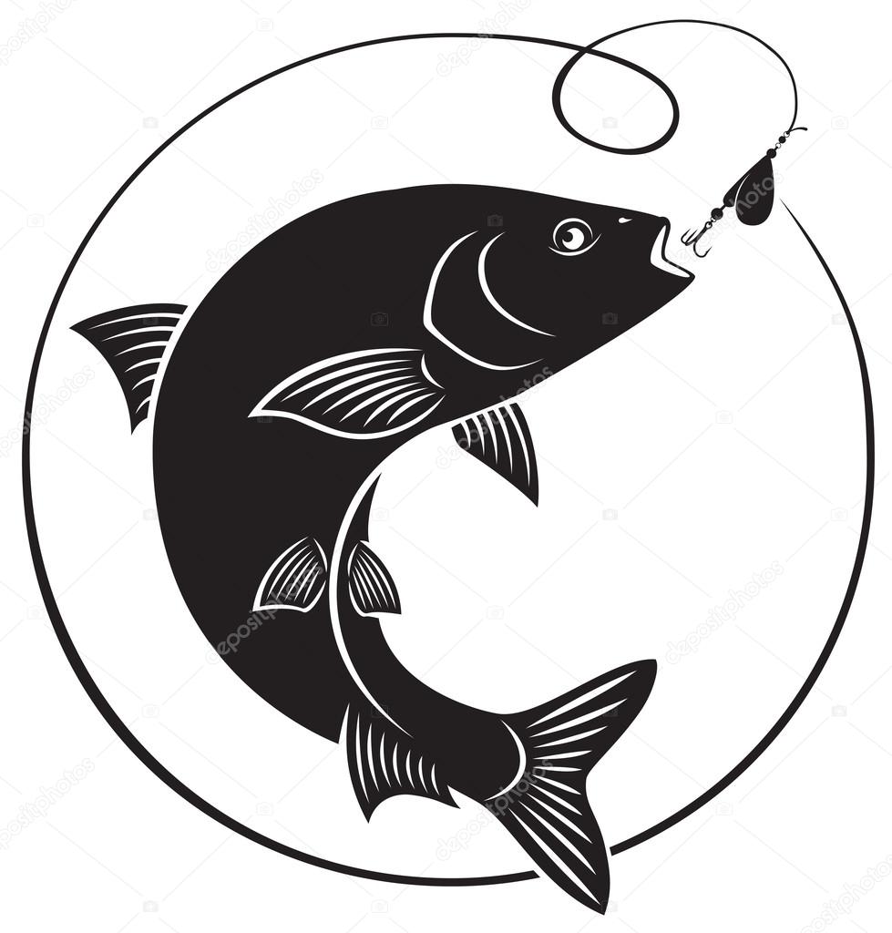 Chub fish silhouette on white background