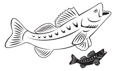 Outline of perch fish clipart