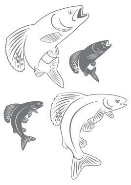 Outline and silhouette of fish grayling clipart