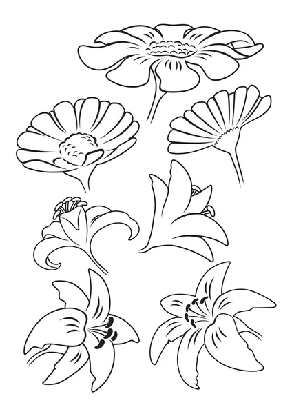 Set von verschiedenen umrissenen Blumen — Stockvektor