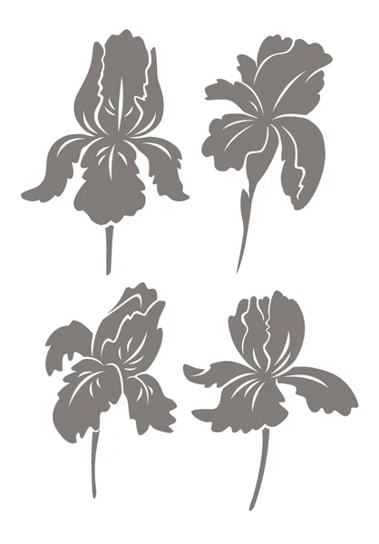 Silhouet van iris bloem — Stockvector