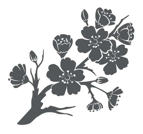 Silhouette von Kirschzweig mit Blüte — Stockvektor