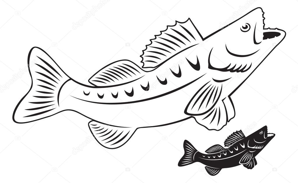 Download Images: fish outline image | Outline of perch fish — Stock Vector © kvasay #69652039
