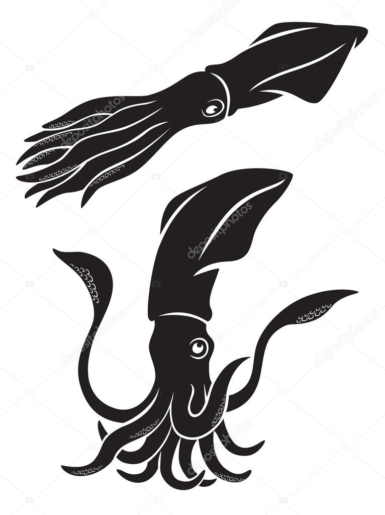 Silhouette of squid with tentacles