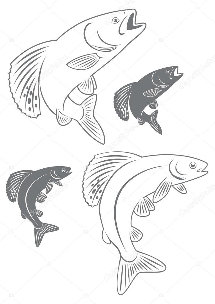 Outline and silhouette of fish grayling