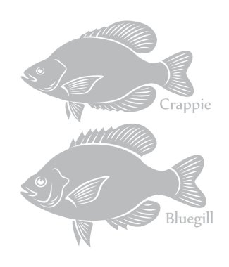 Bluegill ve Crappie simgeler