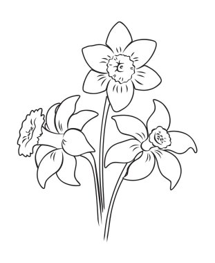 Nergis çiçek buketi