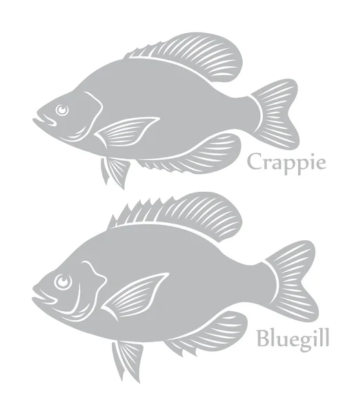 Bluegill och Crappie ikoner — Stock vektor