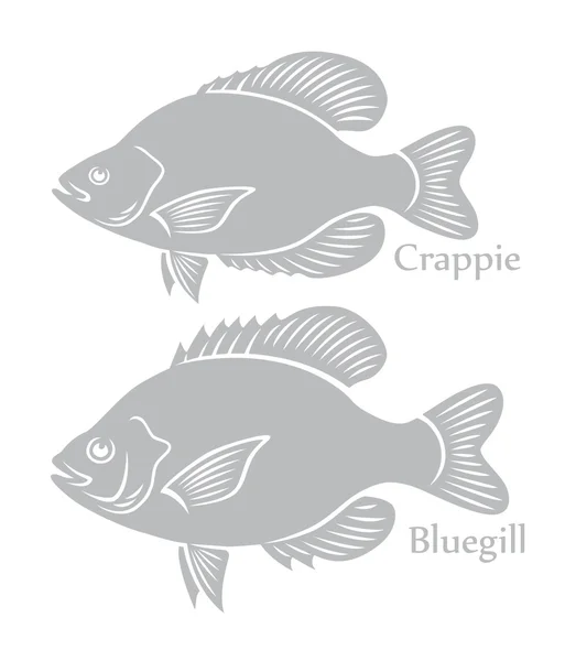 Download Free Vector Image Crappie Fish Eps Svg - Crappie Fishing ...