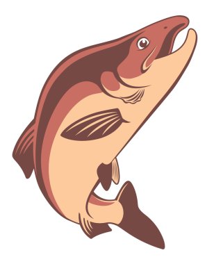 kırmızı somon balık