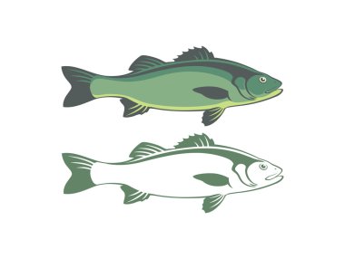 levrek siluetleri balık