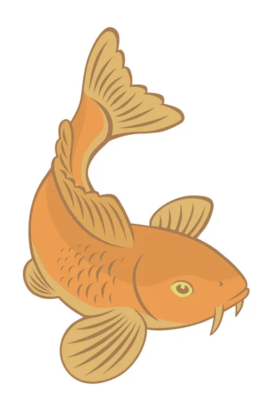 Риби koi короп — стоковий вектор