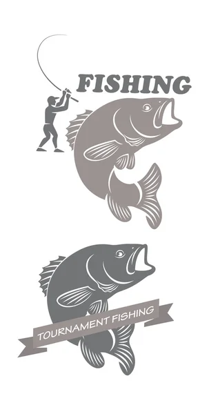 Sea bass fishing — Stock Vector