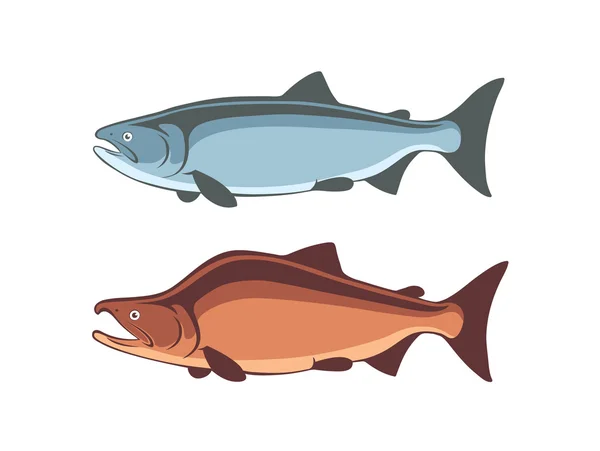 Salmón de pescado rojo y azul — Vector de stock