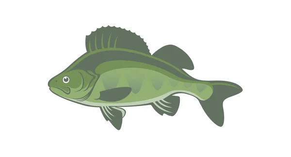 Silueta de perca de pescado — Vector de stock