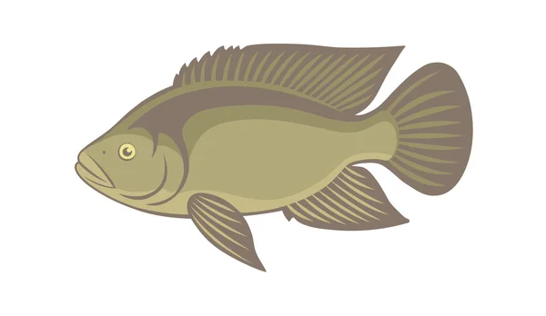 Tilapia fish silhouette — Stock Vector