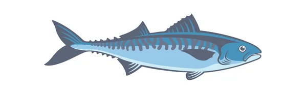 Blauwe vis makreel — Stockvector