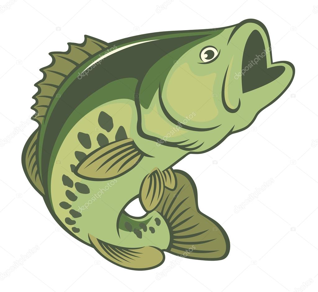green fish bass