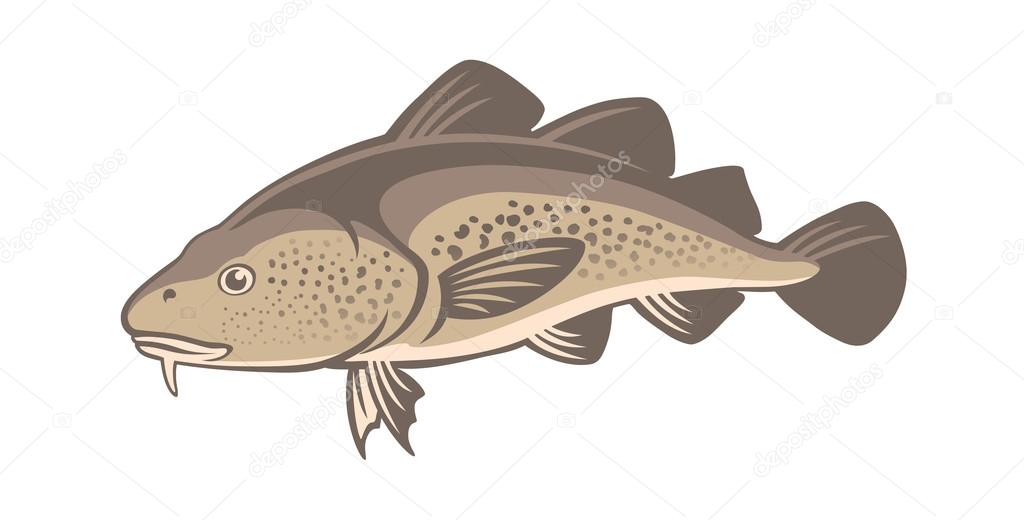 Bacalao imágenes de stock de arte vectorial | Depositphotos Bacalao imágenes de stock de arte vectorial | Depositphotos