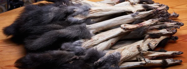 Raw fur skins . Eurasian squirrel — Stock Photo, Image