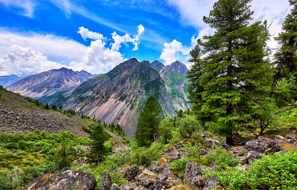 Paesaggio fantastico nelle montagne siberiane — Foto Stock