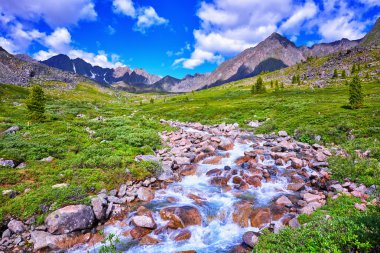  Alpine Meadows Sibirya highlands 