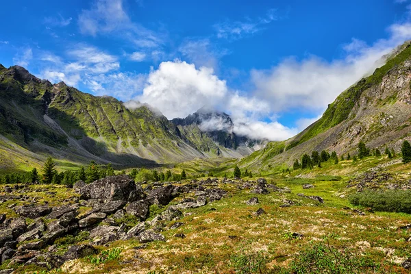 Bergdal en piek in de wolken — Stockfoto