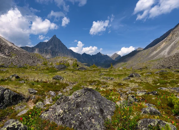 Alpine tundra. Eastern Sayan — Stock Photo, Image