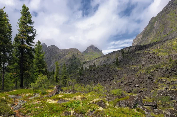 Mountain landscape — Stock Photo, Image