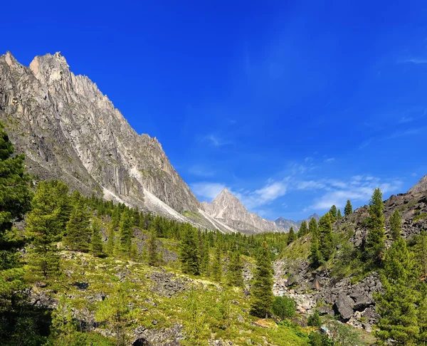 Sunny day in a Siberian mountain valley — Stock Photo, Image