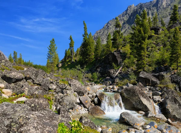 Small waterfall on a mountain river — Stock Photo, Image