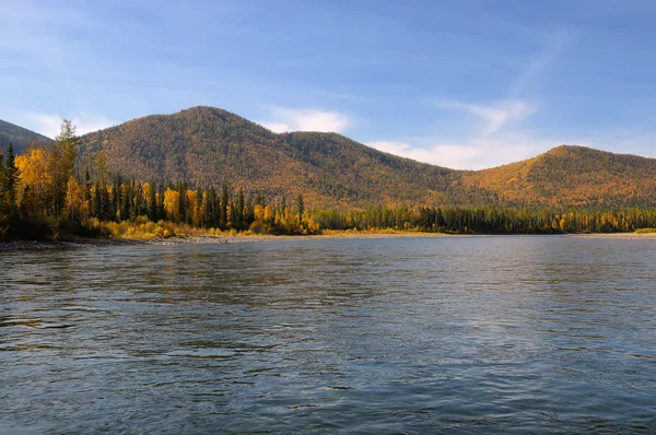 Taiga river in Eastern Siberia — Stock Photo, Image