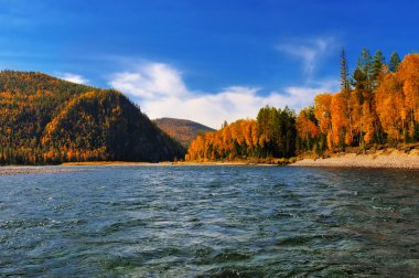 Nehir Kağit sonbahar günü