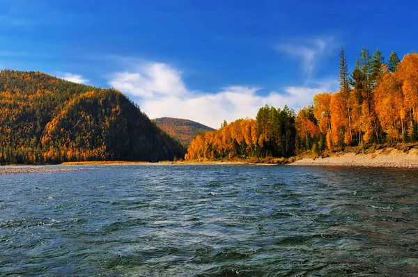 River riffle autumn day — Stock Photo, Image