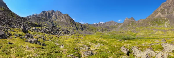Dağ - dinozor. Yaz Alpin tundra Panoraması