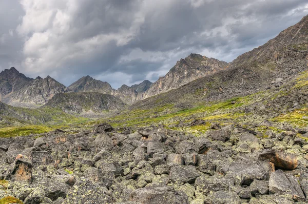 Fragments of rock in the mountain tundra — Stock Photo, Image