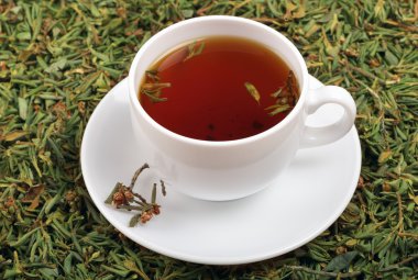 Bir fincan çay bitki ormangülü adamsii ilavesi ile