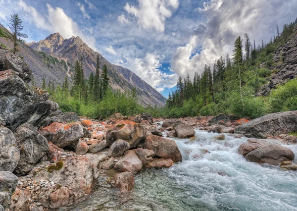 Mountain flod i östra Sibirien — Stockfoto