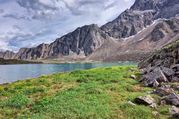 El prado en la orilla de un lago de montaña —  Fotos de Stock