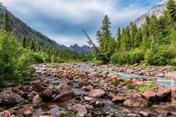 Sibiřská horská řeka na začátku července — Stock fotografie