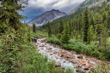 Dağ nehir bulutlu havalarda