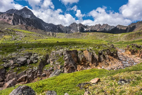 A small canyon in the alpine tundra — Stock Photo, Image