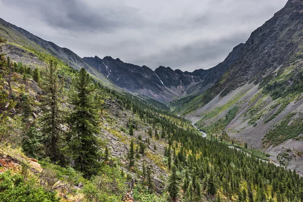 Bovenste deel van de Siberische rivier bergdal in sombere weer — Stockfoto