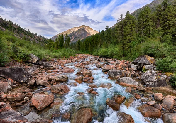 Flussi rapidi del fiume di montagna — Foto Stock