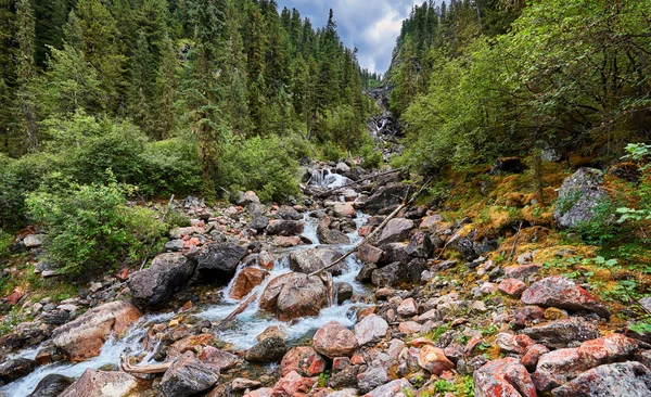 Corriente de montaña corriendo en el estrecho desfiladero del bosque —  Fotos de Stock