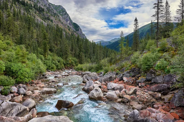 Huyendo de los ríos de montaña —  Fotos de Stock
