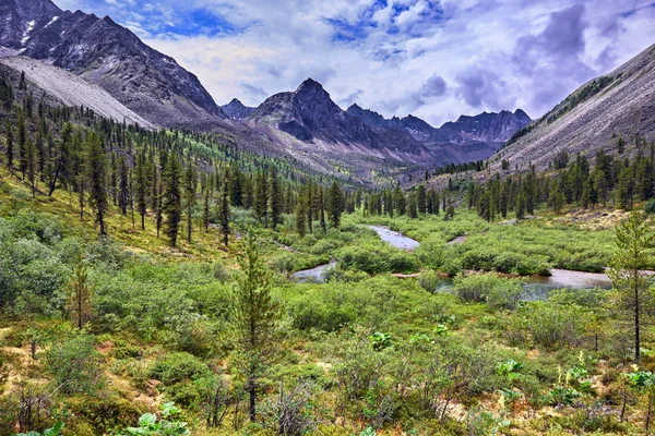 Maravilhosa paisagem de verão nas montanhas da Sibéria Oriental — Fotografia de Stock
