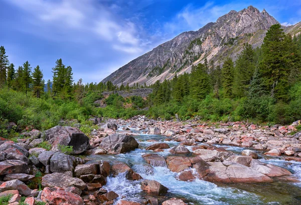 Litet berg flod i Sibirien — Stockfoto